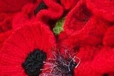 The Argos community garden in Dronfield will be adorned with thousands of knitted poppies.
