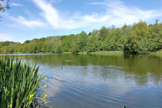 Situated on the edge of Chesterfield, Holmebrook Valley Country Park offers some of the most beautiful views the town has to offer. There's plenty of wildlife to marvel at, as well as the centrepiece of the park - the lake.