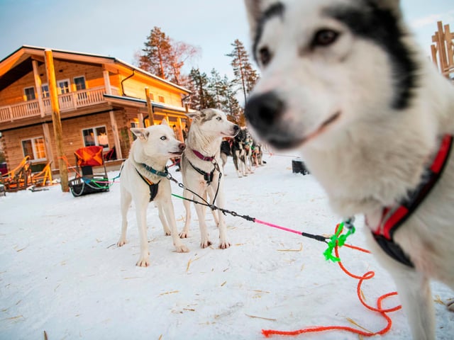 People can fly to Lapland from Doncaster Sheffield Airport.