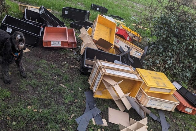 These trays were found dumped off Dunston Road