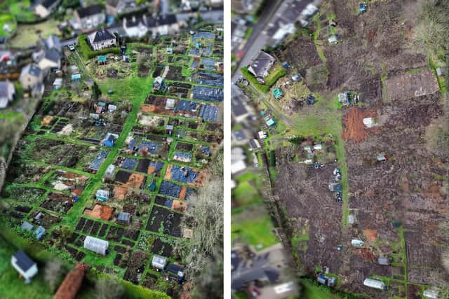 This aerial shot shows the allotments in December 2022, and this week after the landowner sent diggers in to clear away the plots.
