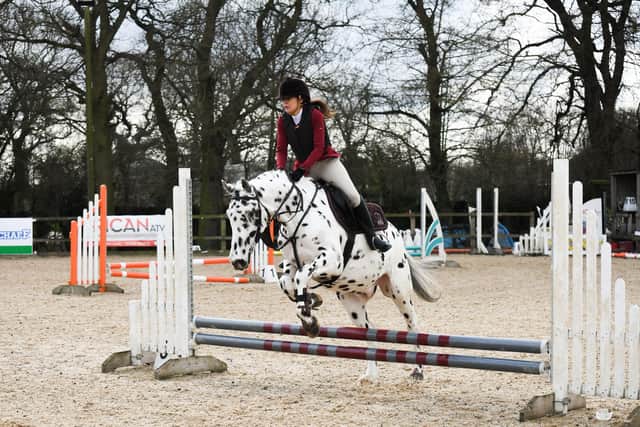Anita tackles the showjumping arena on board Sully. (Photo: Victoria Adams Photography)