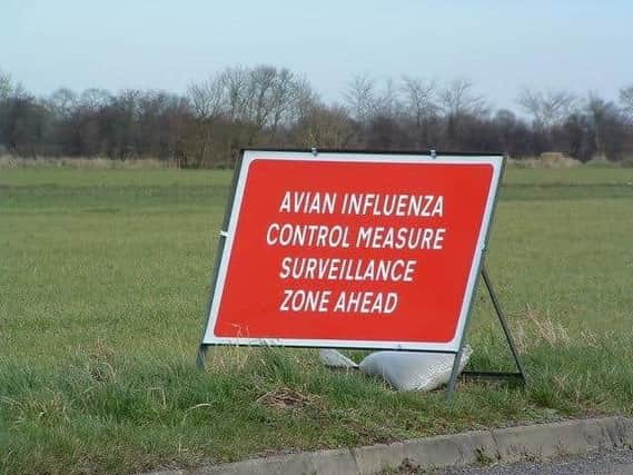 An outbreak of bird flu has been confirmed at a premisesin Derbyshire earlier today. Credit: Keith Evans / Avian Influenza (Bird Flu) Sign- Geograph / Licence: https://bit.ly/3MDyAfI
