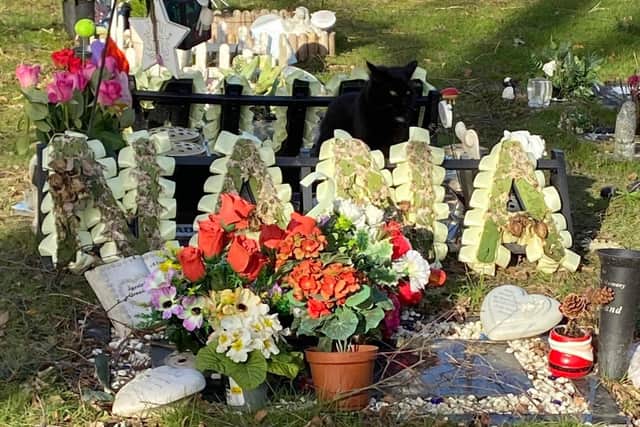 So sweet - the cat in the graveyard at Staveley Cemetery.