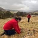 Students help with tree planting at Dalehead, near Edale as part of the conservation project (photo: National Trust)
