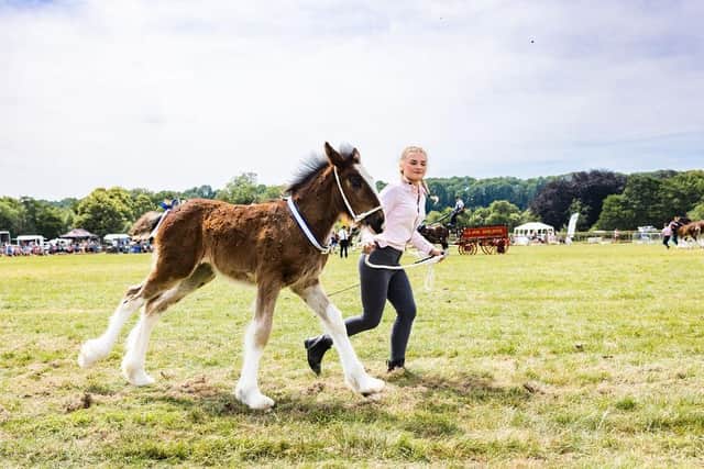 The family event is at Bakewell Showground on Sunday, July 16 – and we have five pairs of tickets up for grabs. Photo: Adam Elijah Sendall