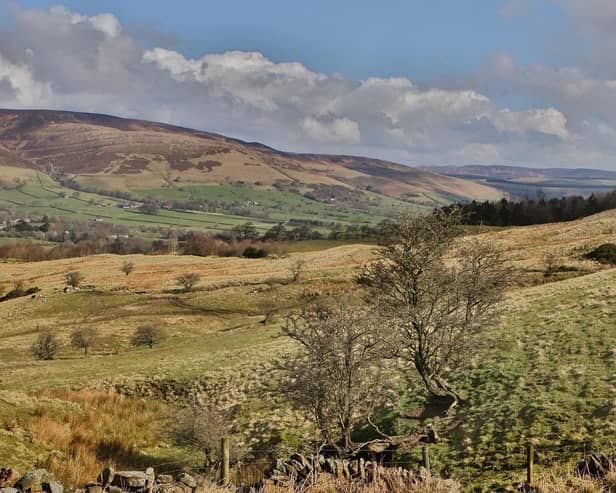 These are some of the most scenic walking routes across Derbyshire and the Peak District.