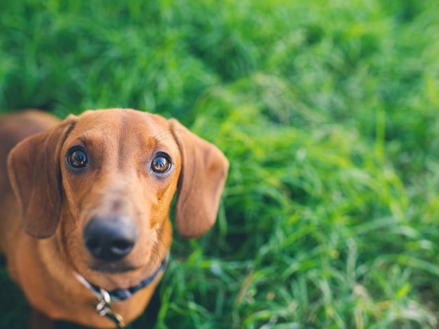 50,500 searches on average per month (Photo: Shutterstock)