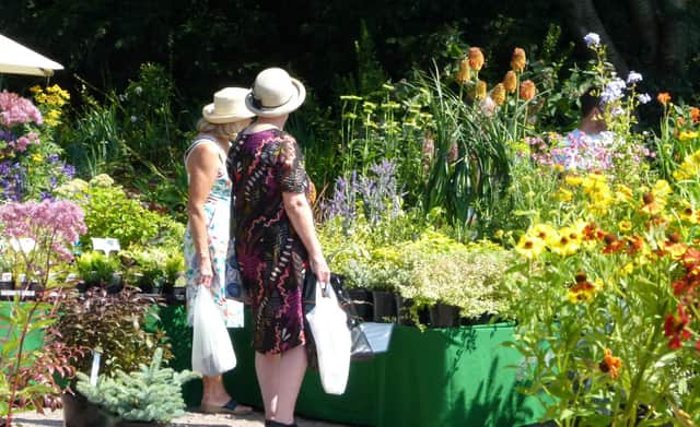 A wide selection of plants will be on offer at the plant fair at Carsington Water on August 13, 2022.