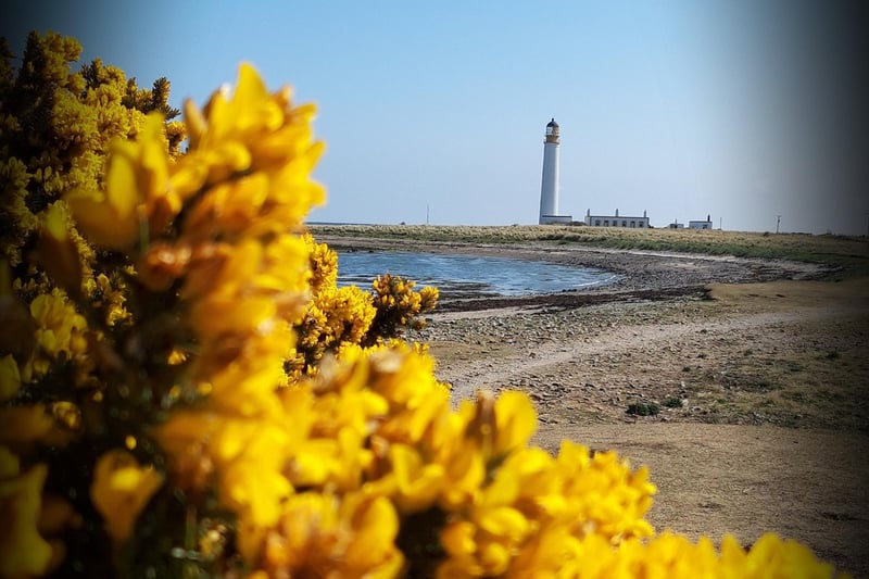 This picture of Barns Ness Lighthouse, in East Lothian, was taken by Michele Kirk.