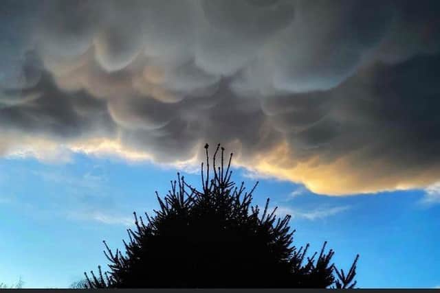 The mammatus clouds over Brampton on Thursday evening