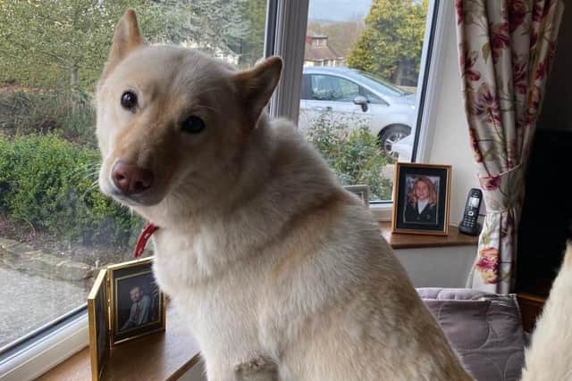She has since recovered, and has been rehomed with a family in Derbyshire.