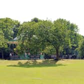 The incident took place near the park’s bandstand.