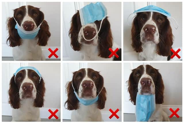 Oakley shows the correct way to wear a face mask in an Instagram post which has gained international attention.