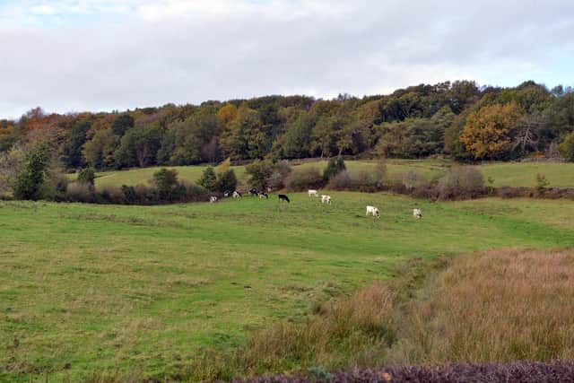 Campaigners say the proposed development near Matlock will cause flooding, traffic problems and the loss of wildlife.