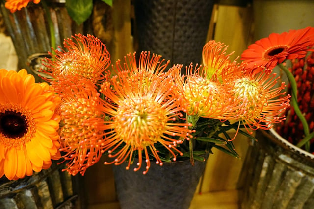 The flowers at Fresh Ideas will brighten any room!