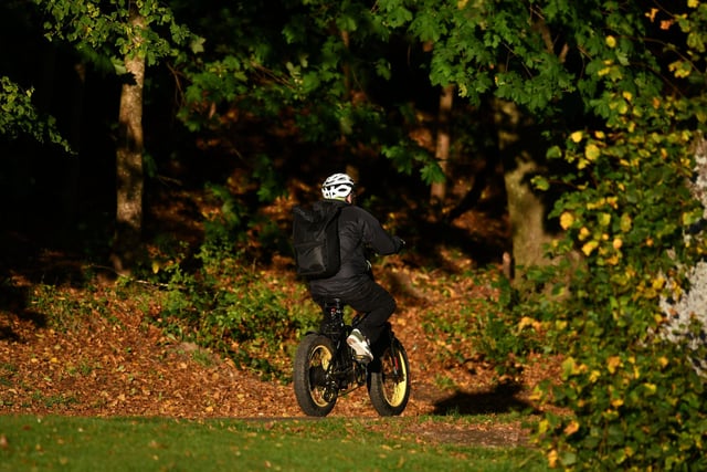 Falkirk. Callendar Park cyclist. 