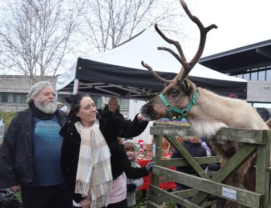 Meet a real reindeer at Bakewell Christmas Sparkle on November 28.
