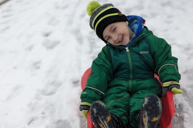 This lovely photo was submitted by Charliee Kimbers. "Sled Time for BB."