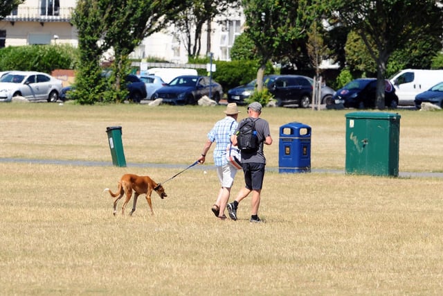 People taking a stroll on Southsea Common on the hottest day of the year. Picture: Sarah Standing (250620-4989)