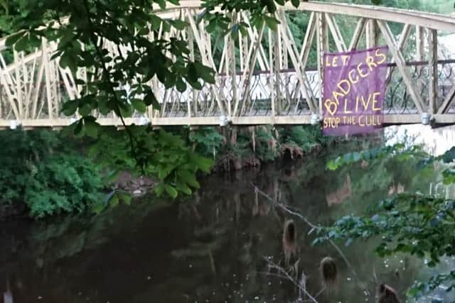 Derbyshire Against the Cull banners have appeared across the county.