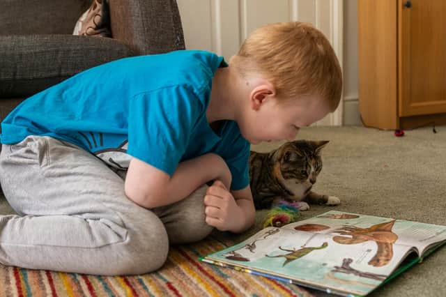 Finlay Black with his pet Chi, finalist in National Cat Awards 2019.