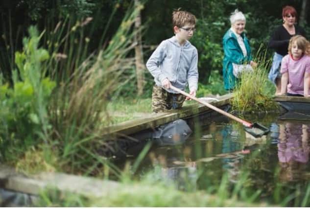 Children can do pond-dipping on August 18, 21 and 25 at Woodside Farm, Slack Lane, Mapperley. Photo by Will Claxton.