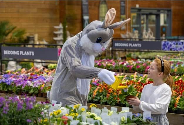 Your children can learn about wildflowers and plant their own miniature wildflower garden at the Easter Bunny Breakfast at Dobbies, Barlborough Links, Chesterfield from March 28 to April 1.
