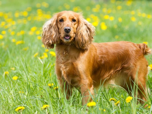 74,000 searches on average per month (Photo: Shutterstock)