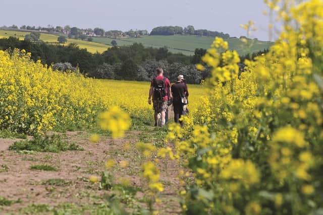 Chesterfield Area Walking Festival caters for all ages and abilities (photo: John Bradley)