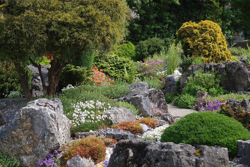 Fir Croft, Froggatt Road, Calver, , S32 3ZD has rockeries,  a water garden, more than 3000 varieties of Alpines,  800 sempervivums, 500 saxifrages and 350 primulas. Open May 21, June 4 and June 18 from 2pm to 5pm. Admission by donation.