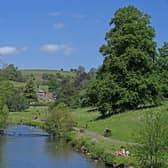 Do you take your dog with you when you go away for the summer? If so, Bakewell is the place for you.