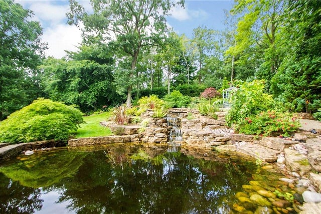 This beautiful pond is part of a glorious water feature in the garden