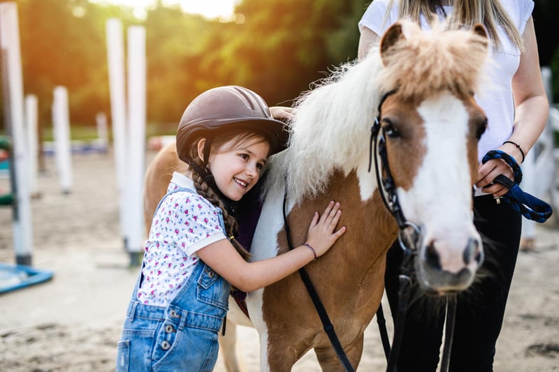 Neil White posts: "Bo-bow" which is a cute word for a horse or pony. (generic photo: Stock Adobe/hedgehog94)