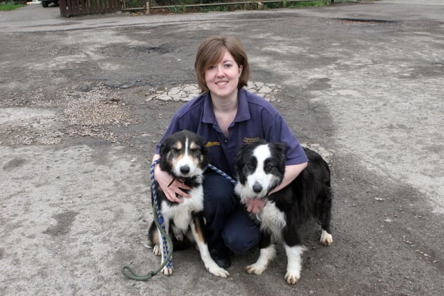 Jane Strauther, a volunteer at Chesterfield RSPCA, with two of the old dogs among many that were looking for a forever home in 2009.