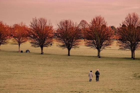 A great shot of Town Fields from @david8photography