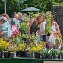 Plant Hunters Fair will take place at Carsington Water on May 25, 2024.