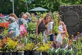 Plant Hunters Fair will take place at Carsington Water on May 25, 2024.