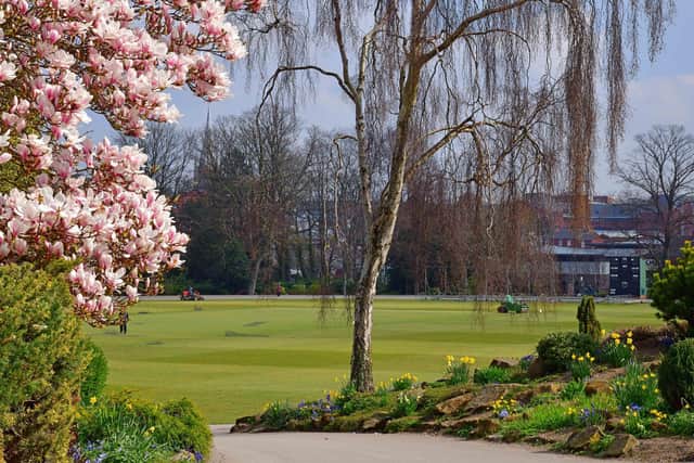Derbyshire is set for a mixture of springtime weather this bank holiday weekend. Picture by Nick Rhodes of springtime blossom in Queens Park, Chesterfield.