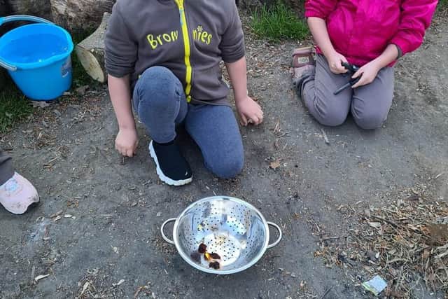 Brownies come to the site to learn outdoor skills like making fires.