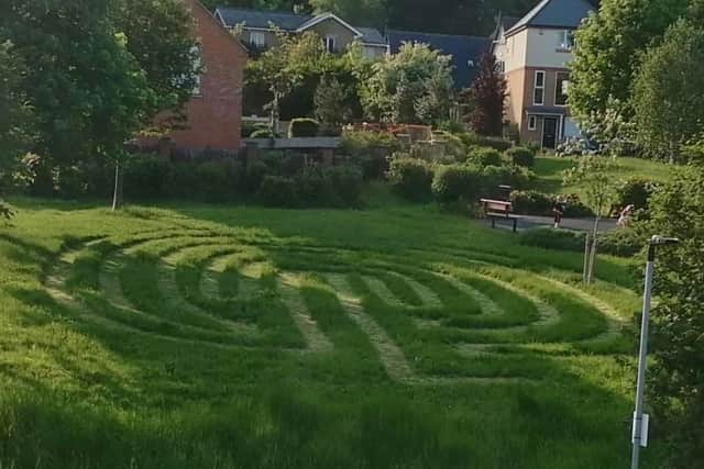 David France's grass labyrinth.