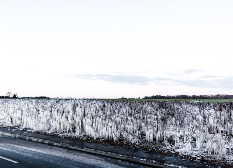 The whole hedge at the side of the road is covered in icicles.