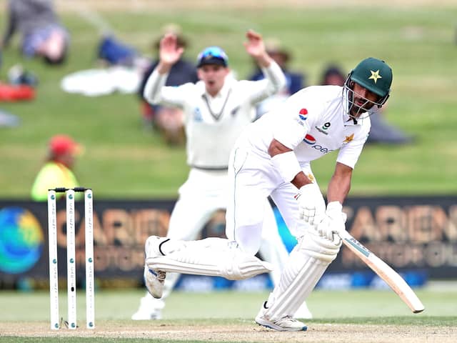 Shan Masood of Pakistan bats against New Zealand at Bay Oval in 2020.