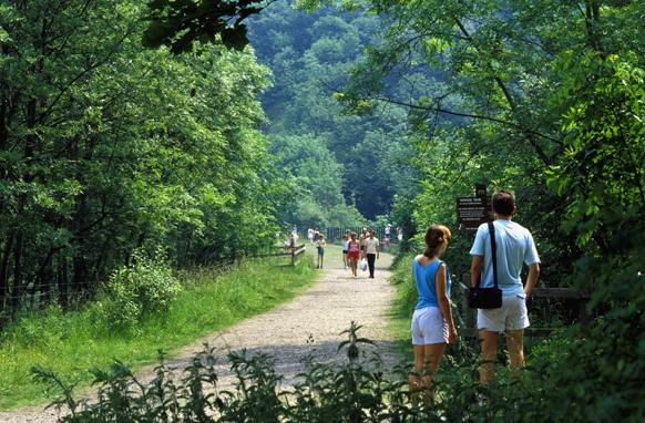 This popular 8-5mile  trail between Chee Dale and Bakewell offers spectacular scenery and is traffic-free, making it ideal for children, dogs and wheelchair users.