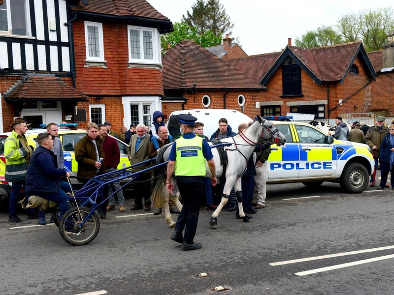 A large crowd turned up for the Wickham Horse Fair today despite it being cancelled. Picture: Roger Arbon/Solent News & Photo Agency