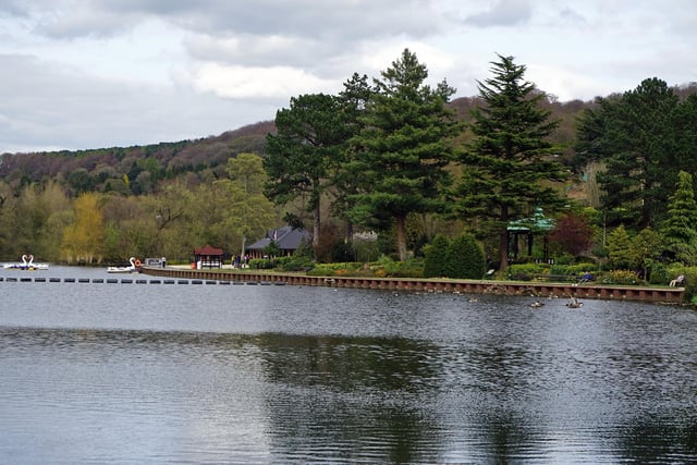 Swan boats are operated from the new café overlooking the River Derwent.