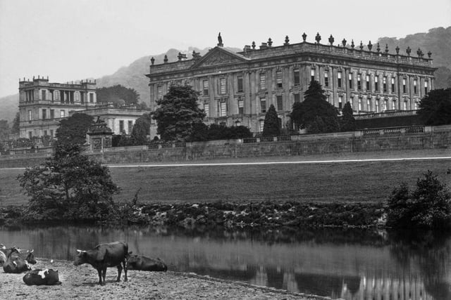 Cows graze in view of Chatsworth House stately home, circa 1900.
