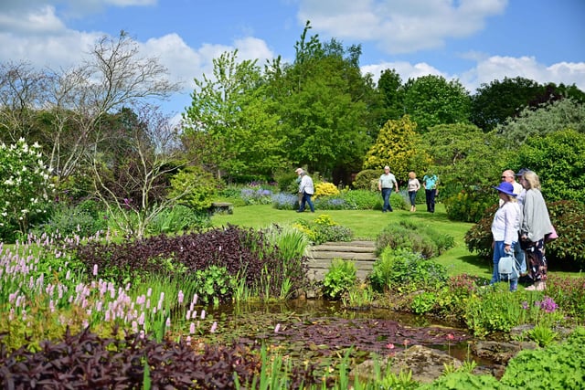 Visitors wander around the large garden at Moorfields in Temple Normanton during the charity open day.