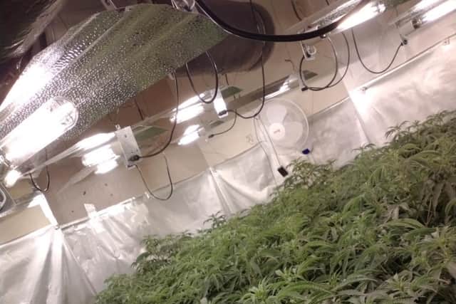 Police uncovered approximately £60,000 worth of cannabis while carrying out a drugs warrant at a property in High Street, Clay Cross, today