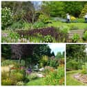 Gardeners in Temple Normanton, Ambergate and Chesterfield, clockwise from top, will open their gates to the public in return for donations to the National Garden Scheme which supports health charities.